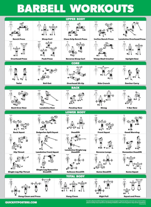 Palace Learning Fitness Wall Charts Laminated Set of 4-2