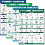 Palace Learning Fitness Wall Charts Laminated Set of 4-0