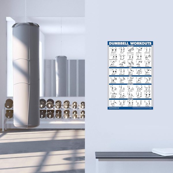 Palace Learning Fitness Wall Charts Laminated Set of 4-4