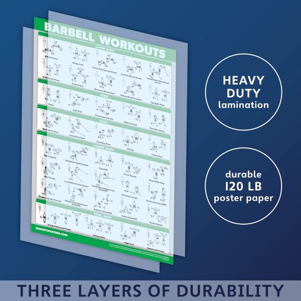 Palace Learning Fitness Wall Charts Laminated Set of 4-1
